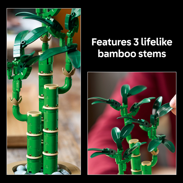 lucky bamboo nz LEGO 10344 Botanicals Lucky Bamboo – Toyworld NZ