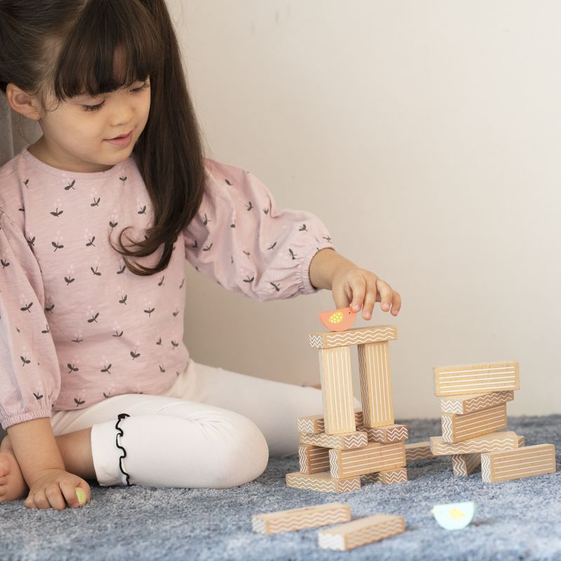 Classic World Bird Stacking Game