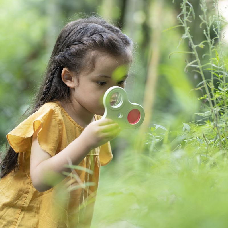 Classic World Natural World Exploration