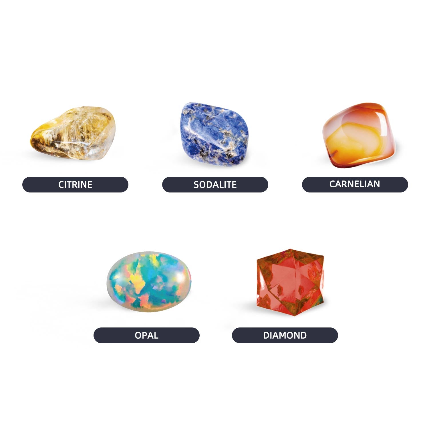 Piano Potato Mercury Dig Kit