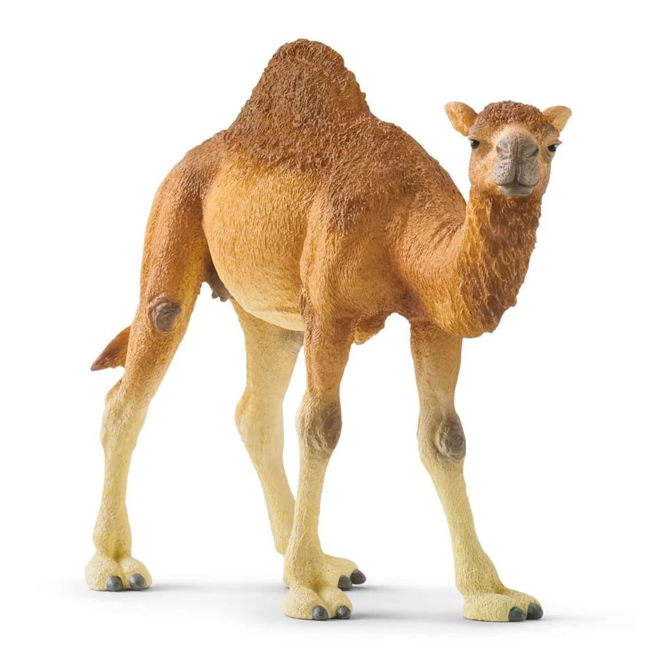 Schleich Dromedary - Toyworld NZ