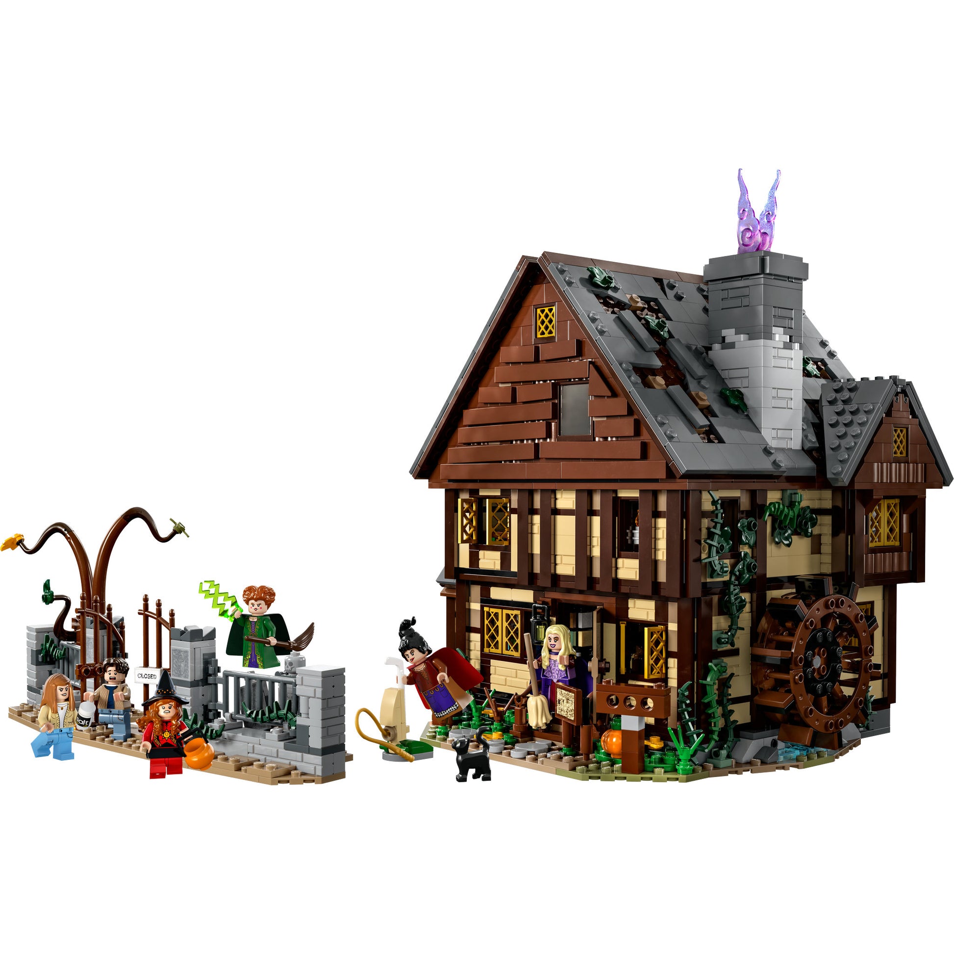 LEGO 21341 Ideas Disney Hocus Pocus: The Sandersons Sisters' Cottage - Toyworld NZ