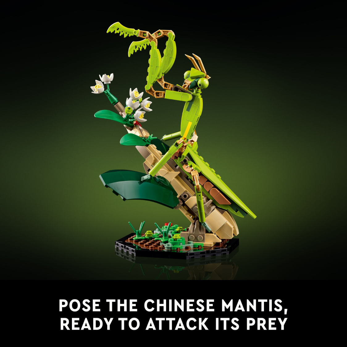 LEGO 21342 Ideas The Insect Collection