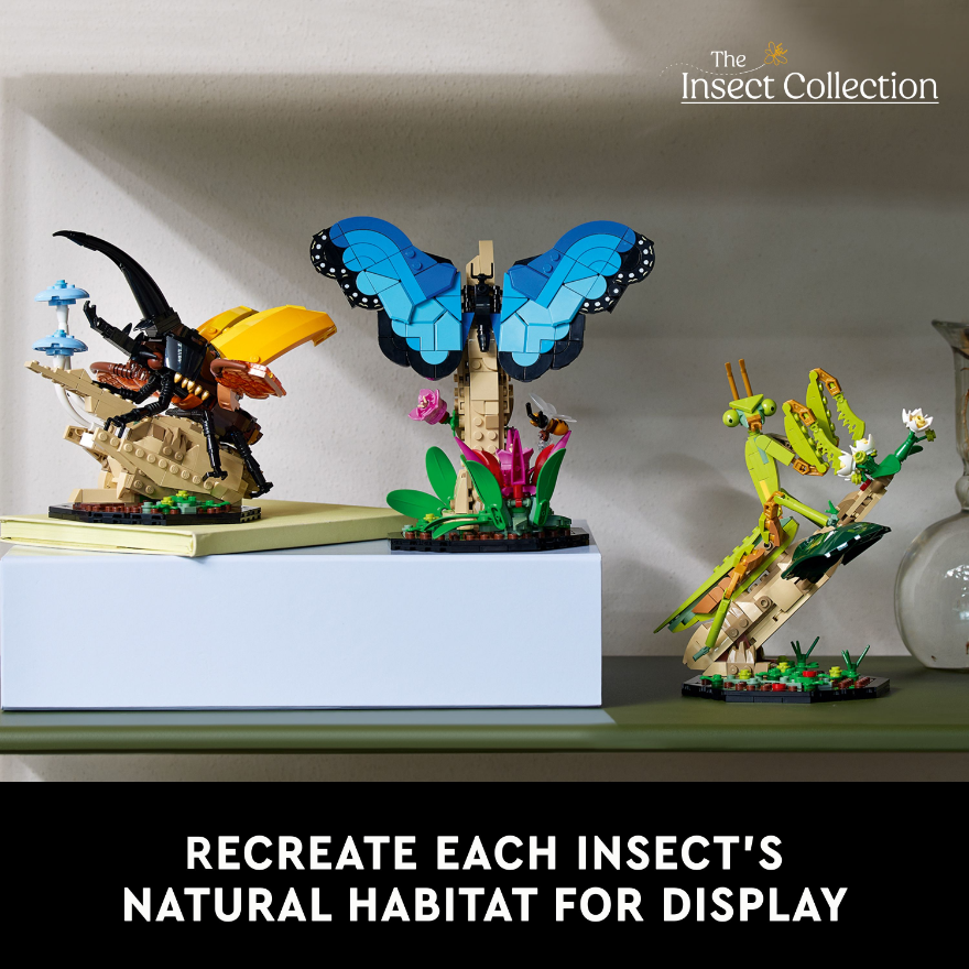 LEGO 21342 Ideas The Insect Collection