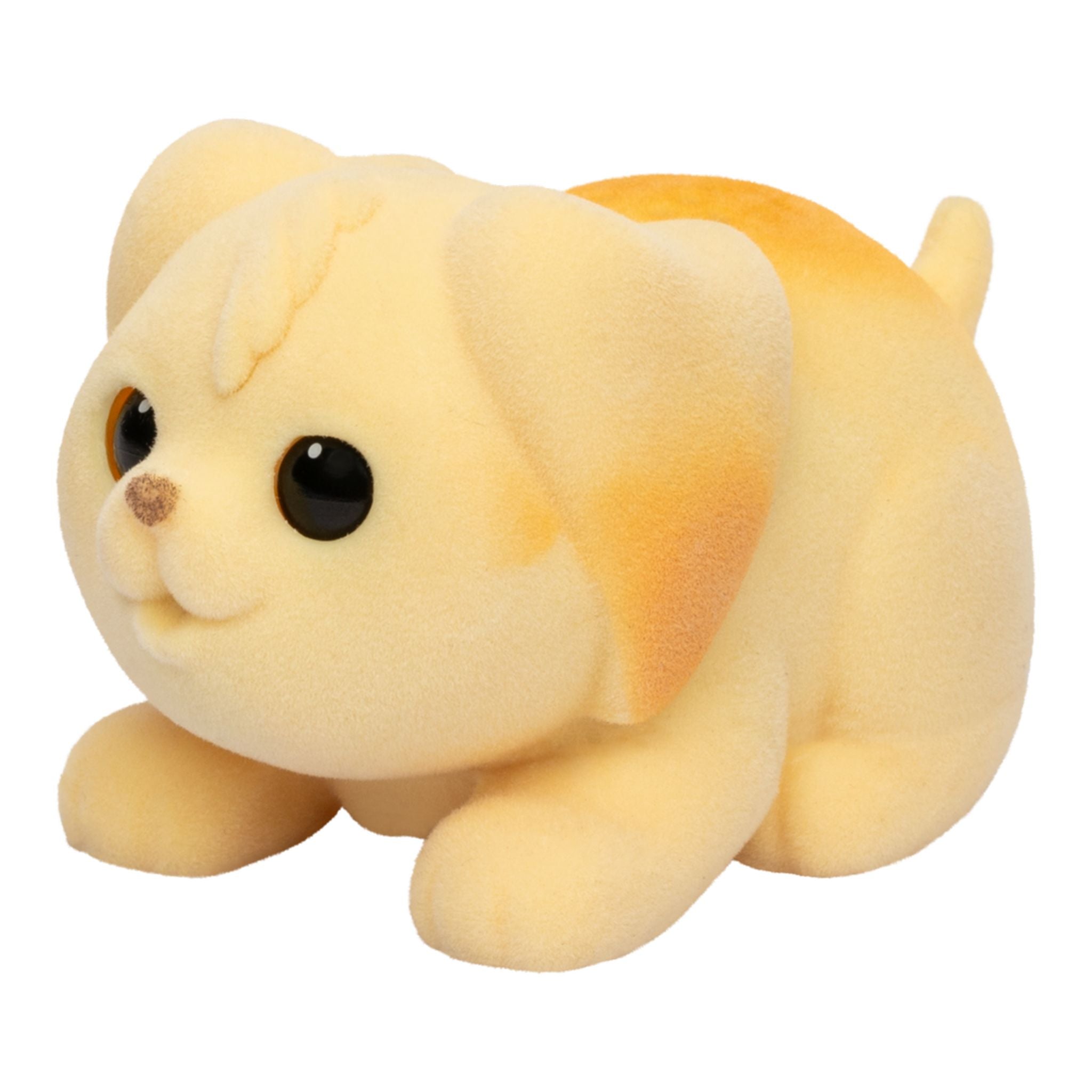 Little Live Pets Lil' Needees Single Pack Assorted Styles