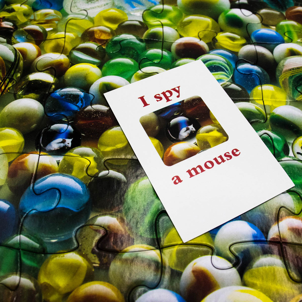 I Spy Mystery Search & Find 100 Piece Puzzle