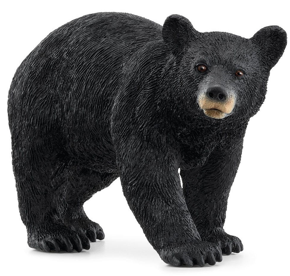 Schleich American Black Bear