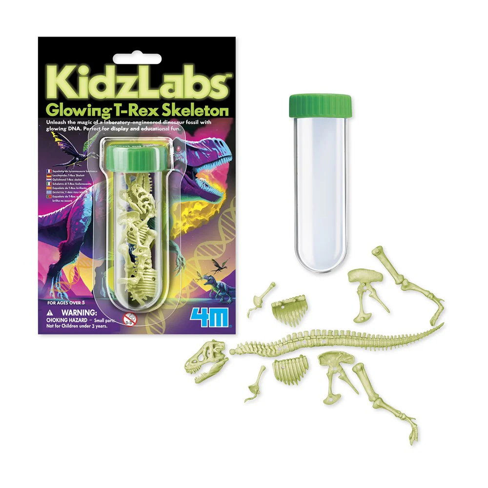 4M KidzLabs - Glowing T-Rex Skeleton