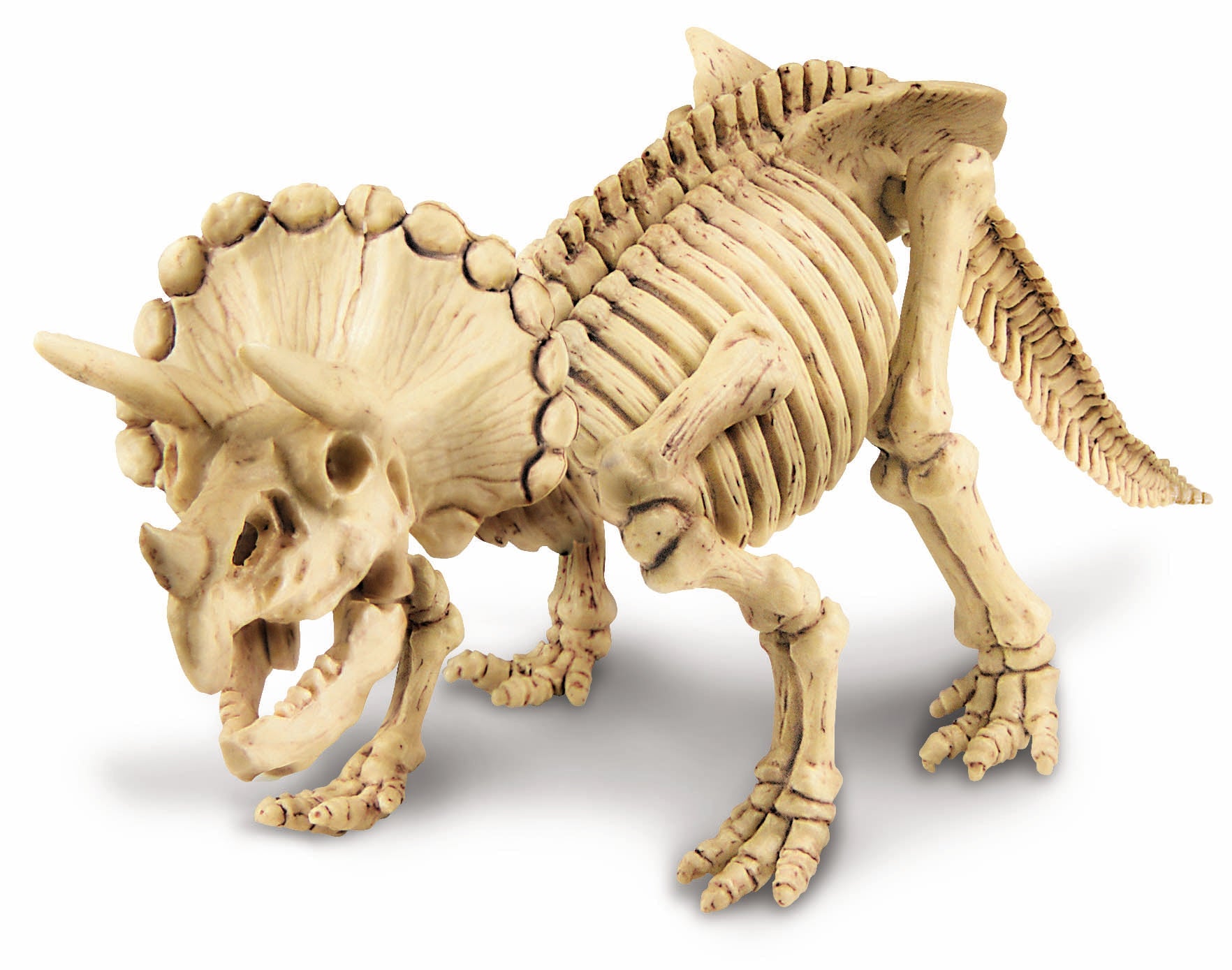 4M KidzLabs Dinosaur Excavation Kit Triceratops