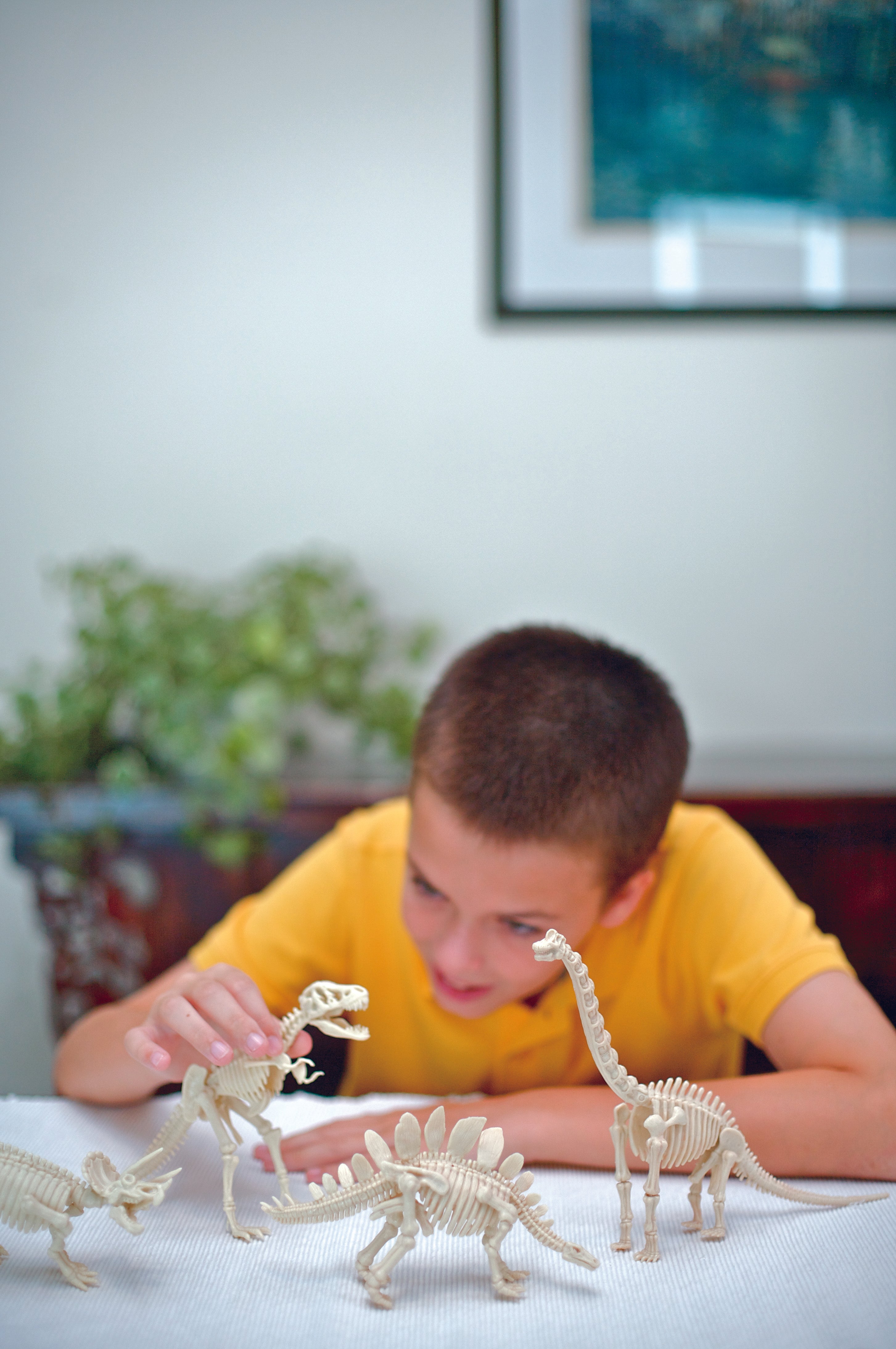 4M KidzLabs Dinosaur Excavation Kit Tyrannosaurus Rex