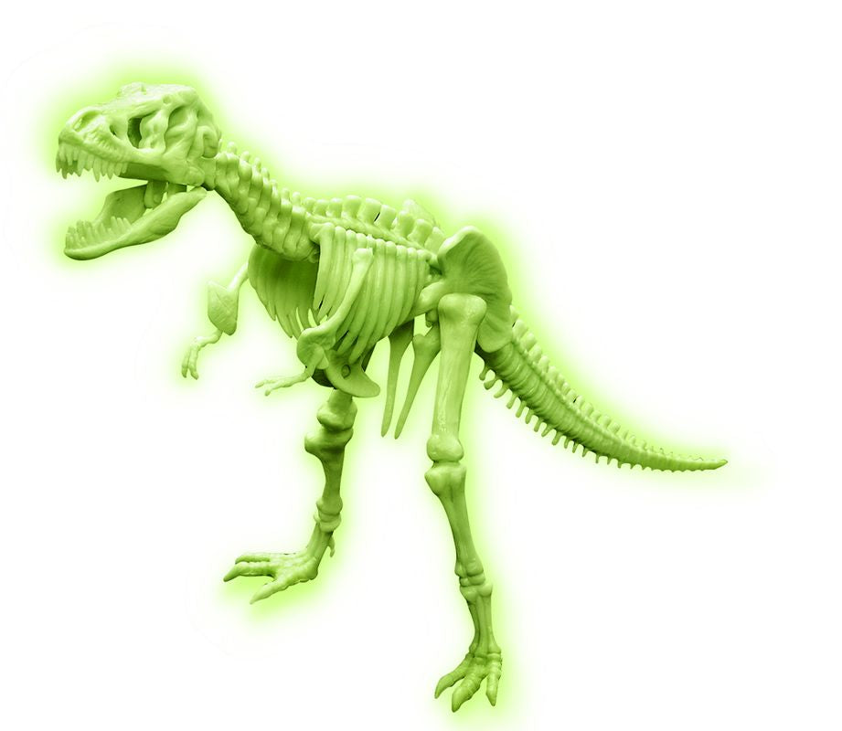 4M Sci:Bits Glow T-Rex Skeleton - Toyworld NZ