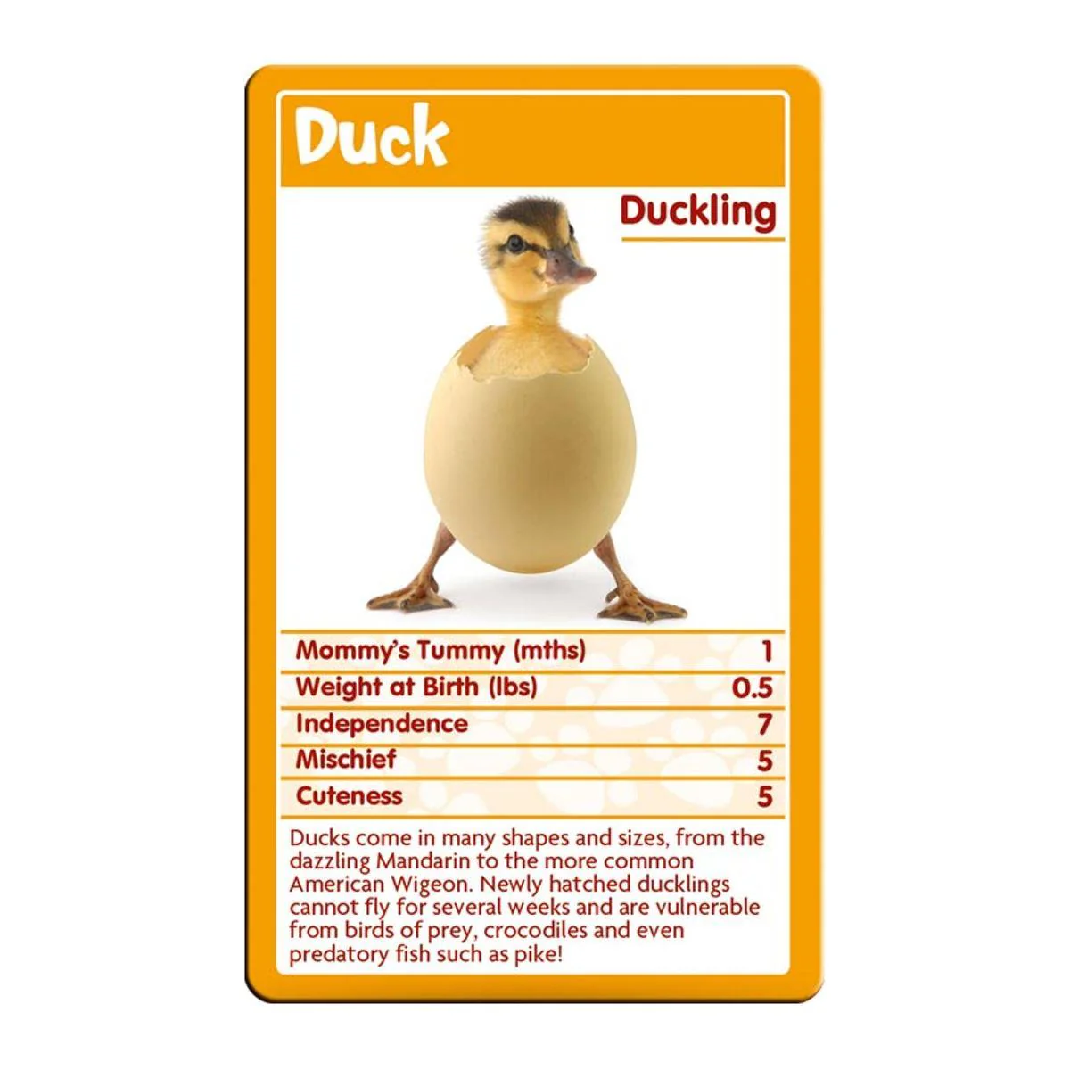 Top Trumps - Classics Baby Animals