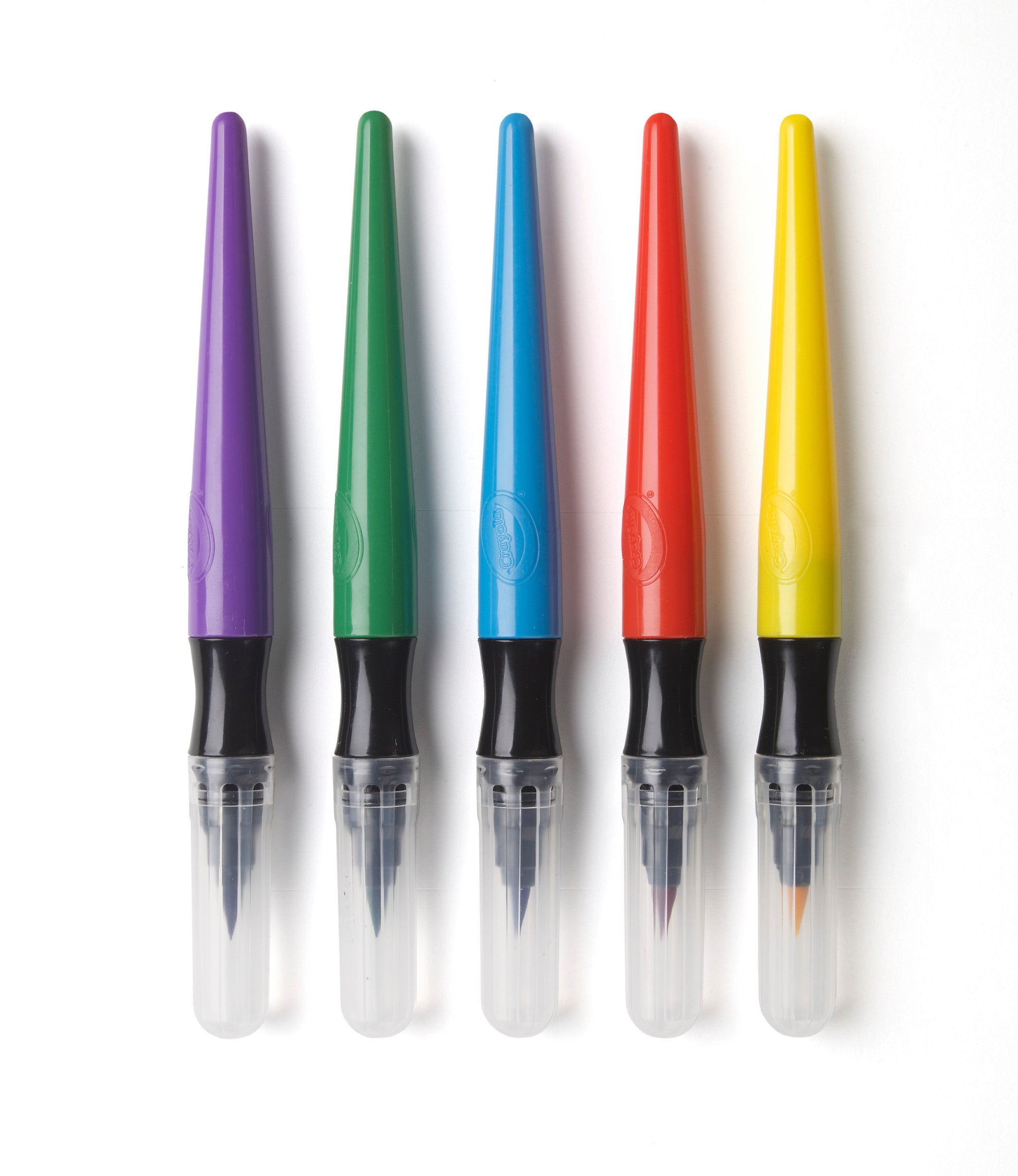 Crayola Washable Paint Brush Pens 5 Pack
