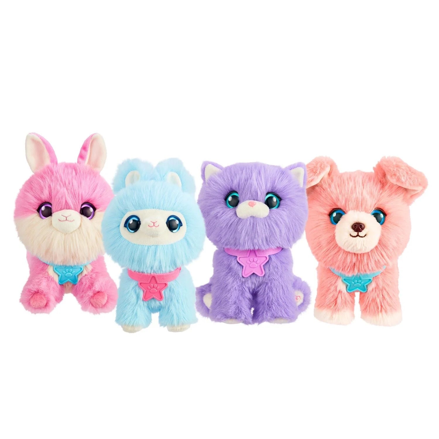 Scruff A Luvs S3 Rainbow Pet Scruffs Assorted Styles - Toyworld NZ