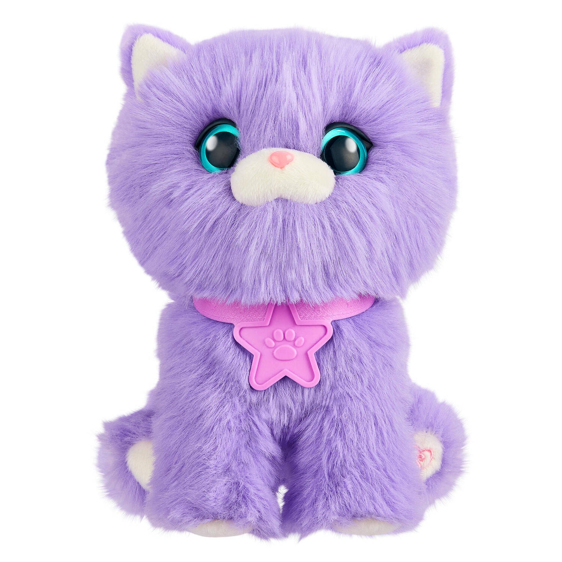 Scruff A Luvs S3 Rainbow Pet Scruffs Assorted Styles - Toyworld NZ