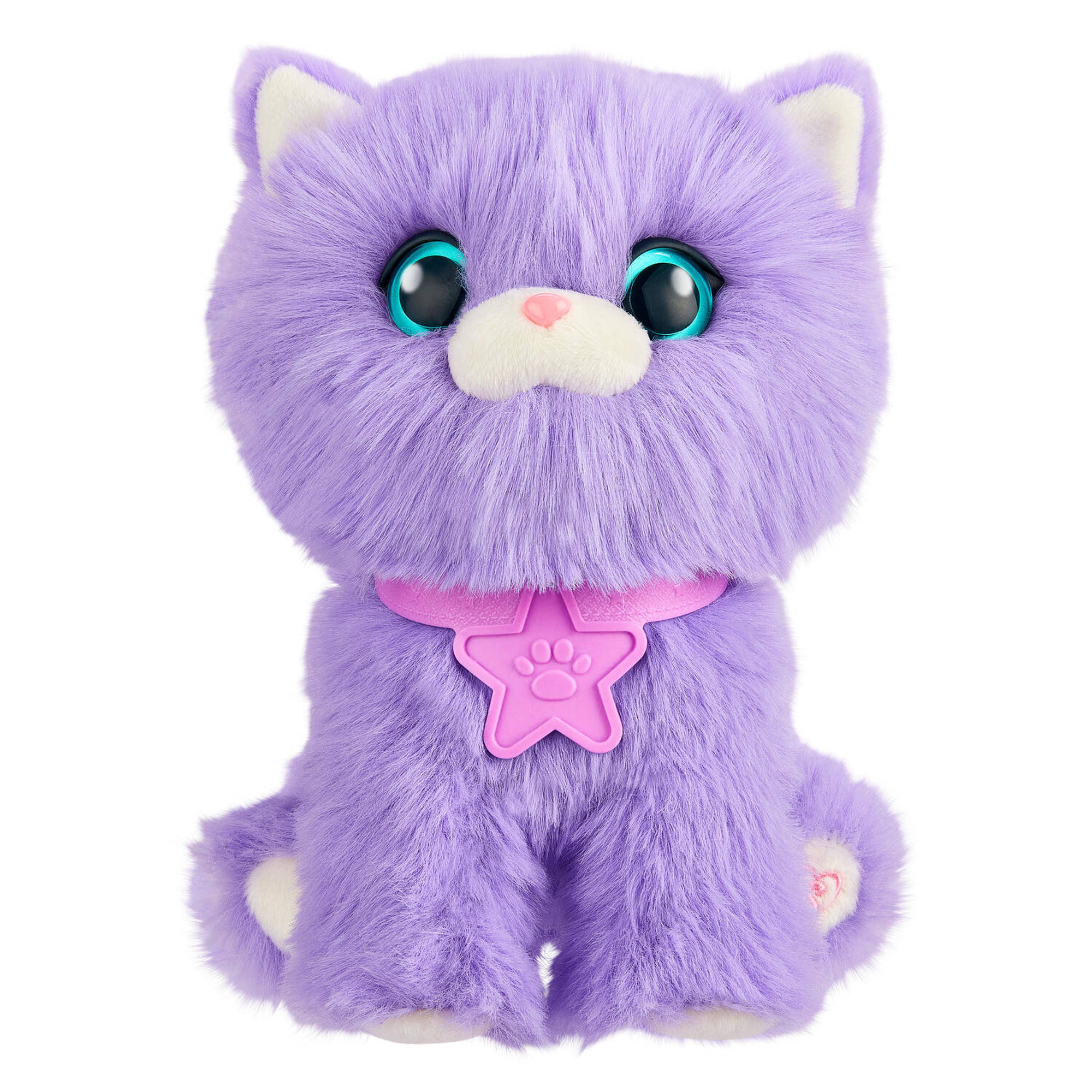 Scruff A Luvs S3 Rainbow Pet Scruffs Assorted Styles - Toyworld NZ