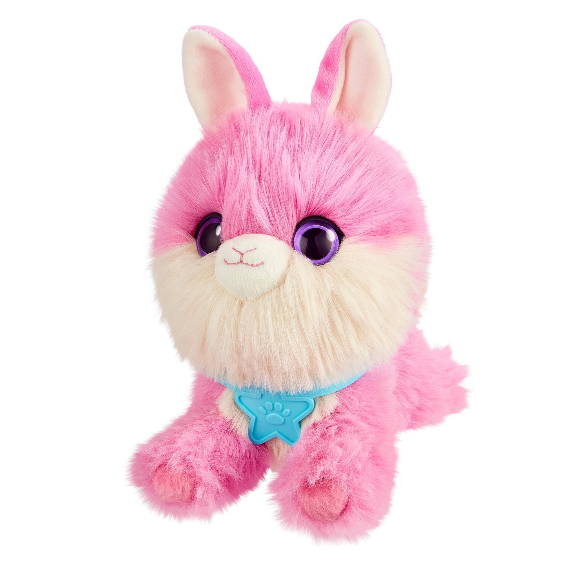 Scruff A Luvs S3 Rainbow Pet Scruffs Assorted Styles - Toyworld NZ