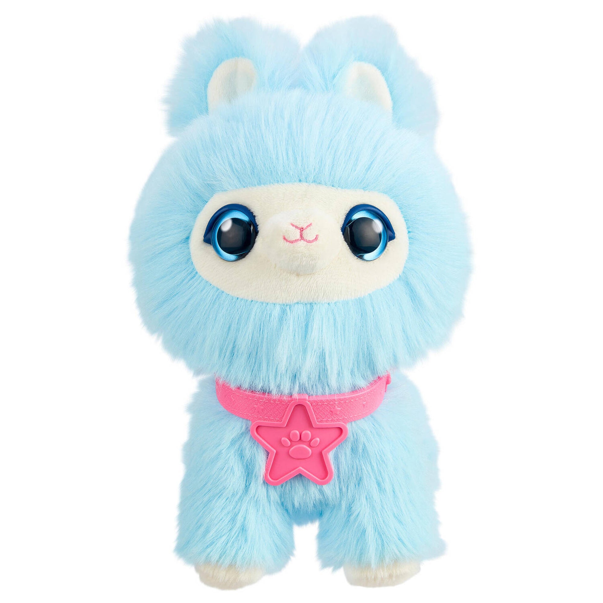 Scruff A Luvs S3 Rainbow Pet Scruffs Assorted Styles - Toyworld NZ