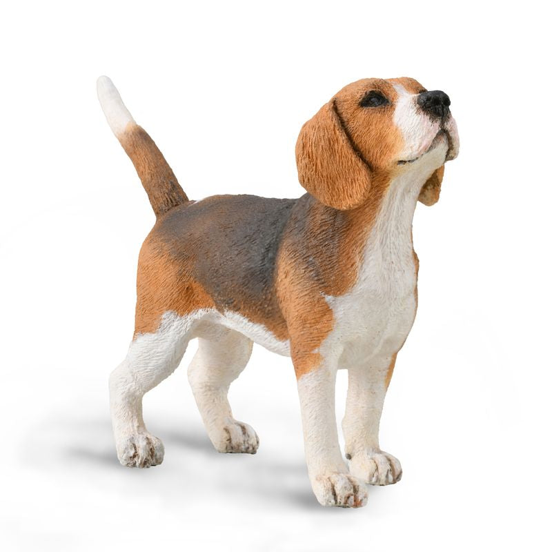 Collecta Beagle (Red) - Toyworld NZ