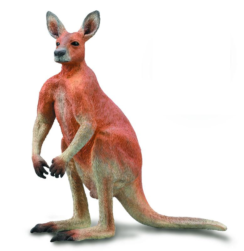 Collecta Red Kangaroo Male (Yellow)