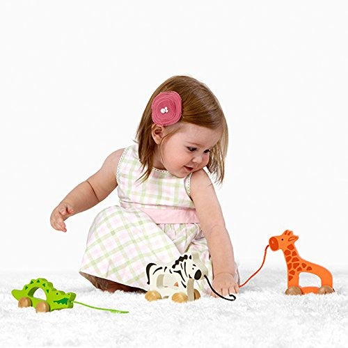 Hape Push N Pull Giraffe