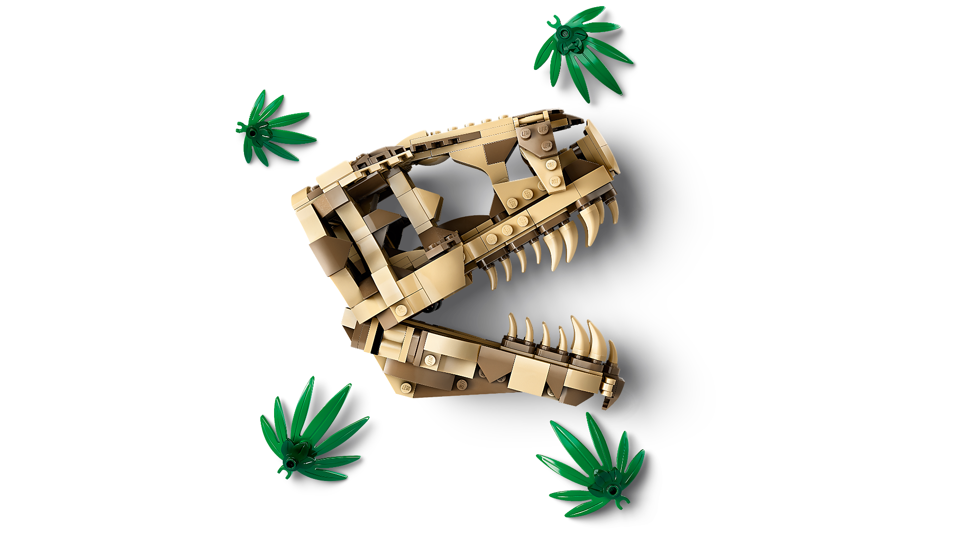 LEGO 76964 Jurassic World Dinosaur Fossils: T.Rex Skull