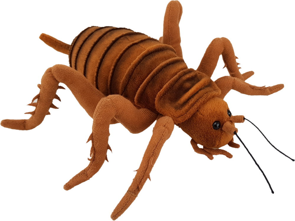 Antics Giant Weta 25cm