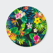 Sohi Flexi Flyer Assorted Styles