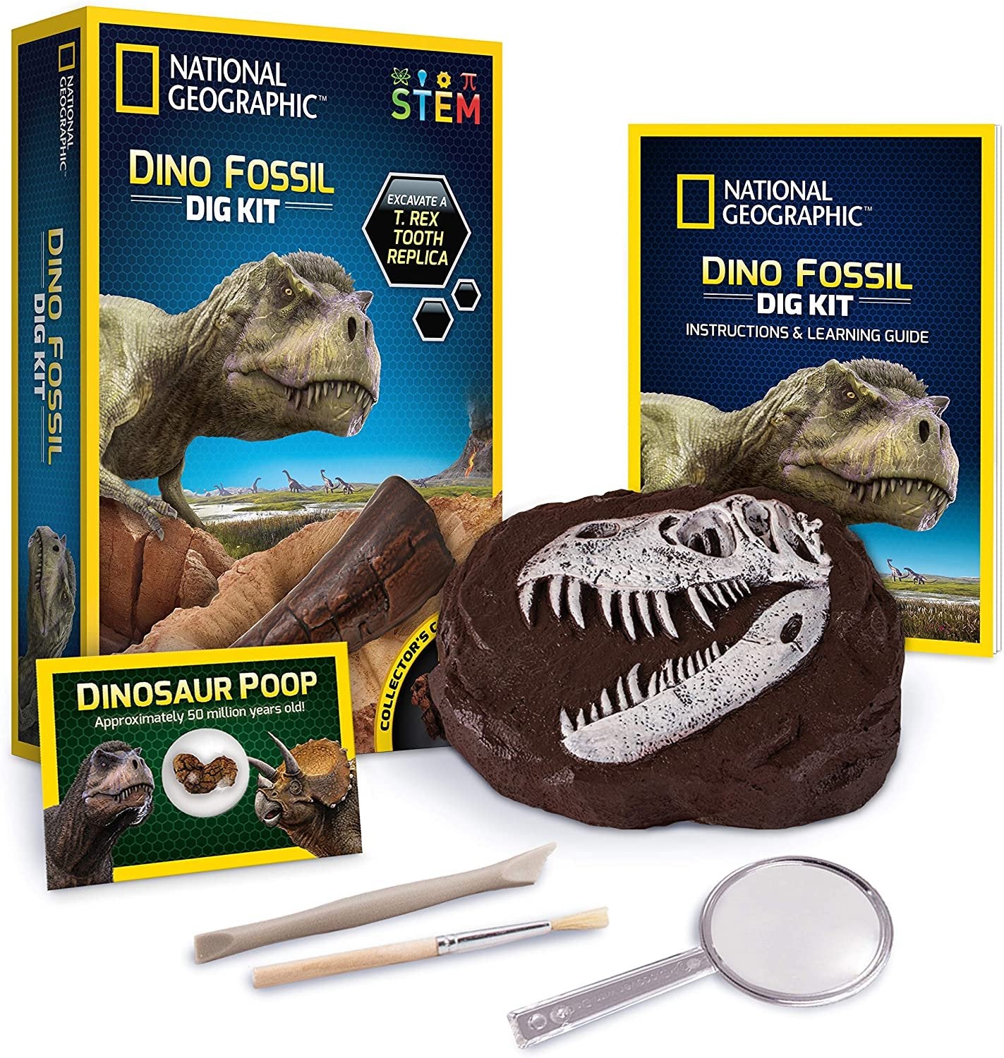 National Geographic Dino Fossil Dig Kit