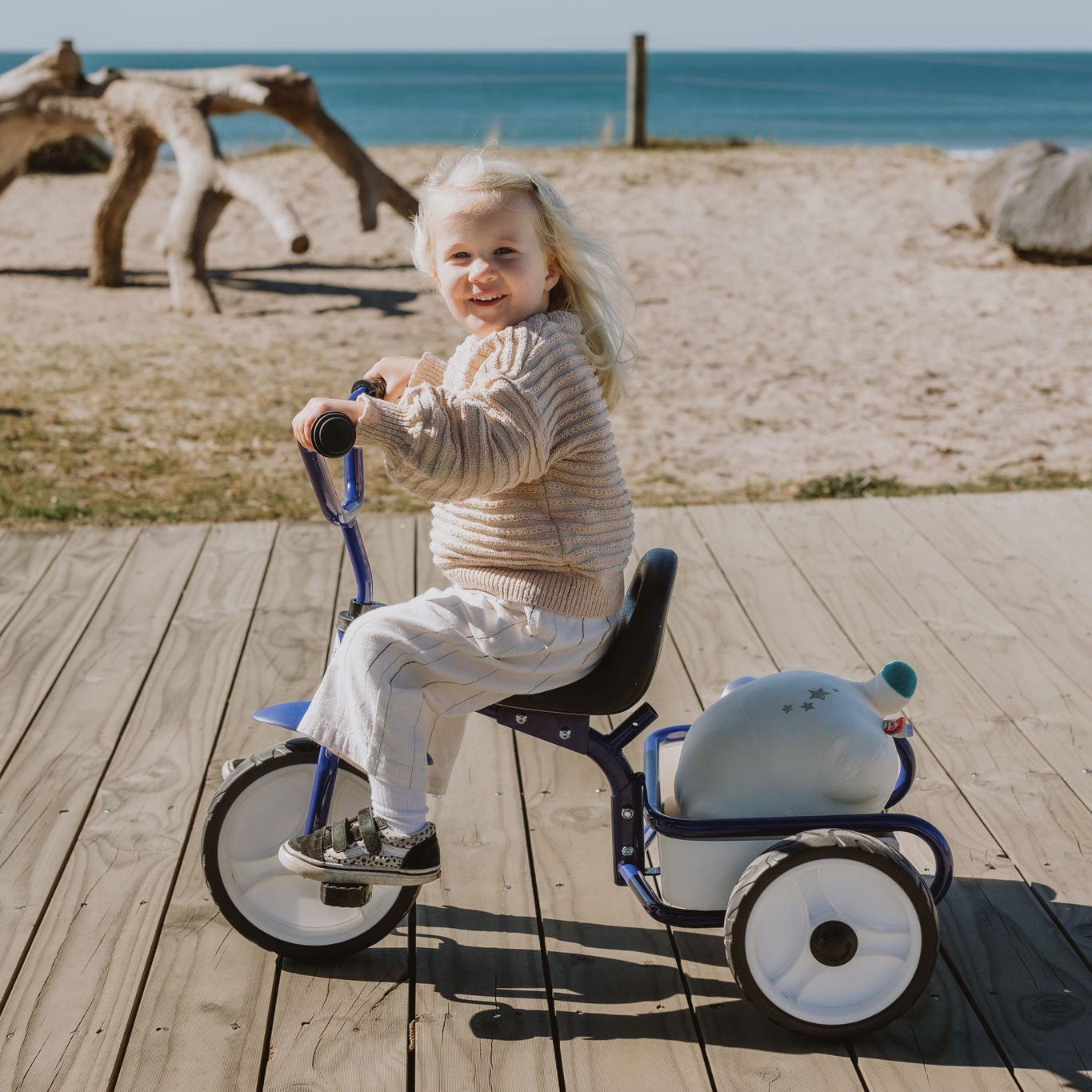 Tri-ang 2.0 Tuff Trike w Push Bar - Blue