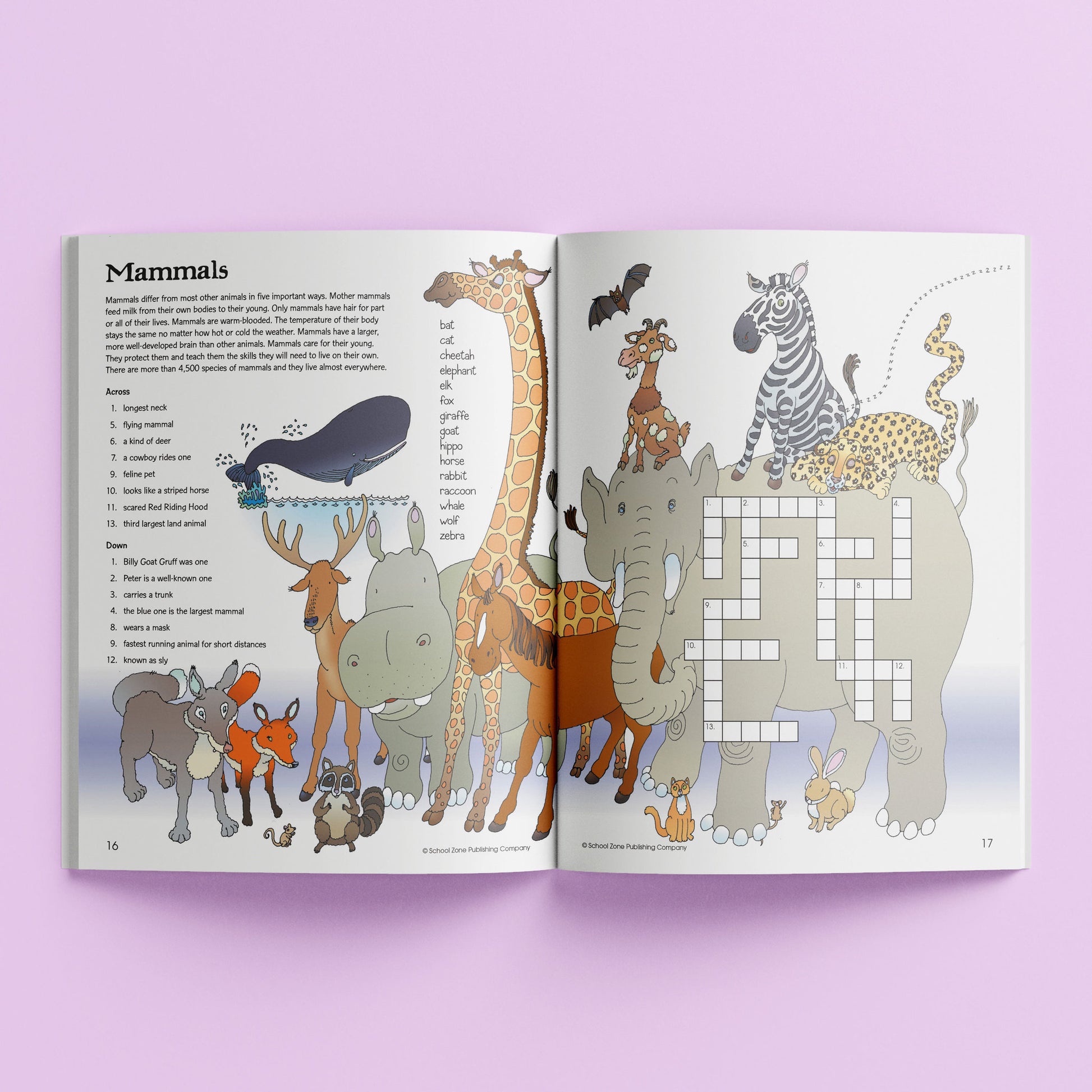 School Zone Activity Zone: Crosswords - Toyworld NZ