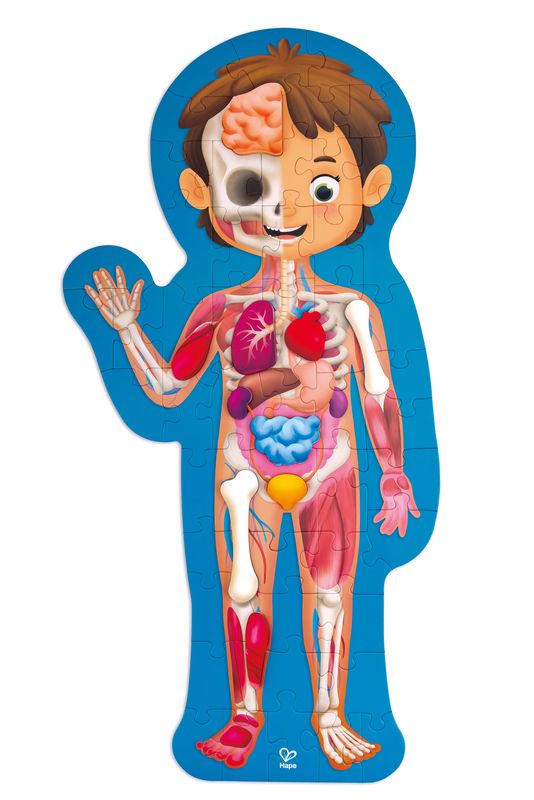 Hape 60 Piece Human Body Puzzle