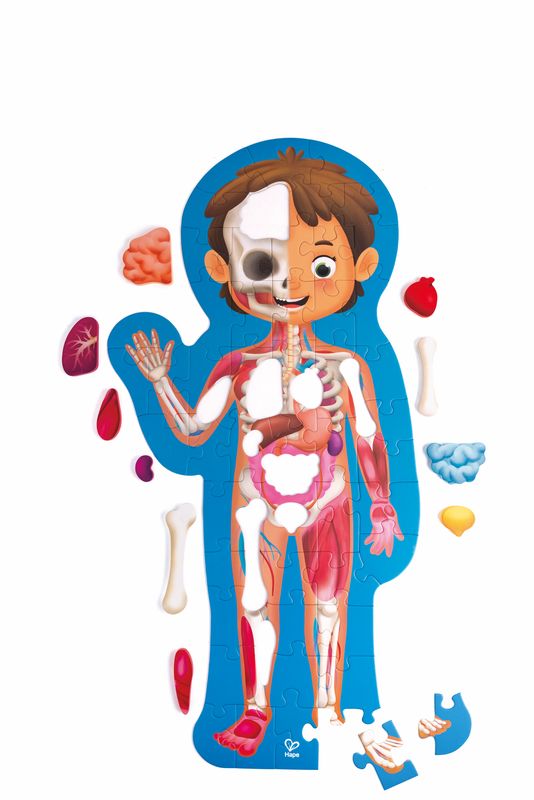 Hape 60 Piece Human Body Puzzle