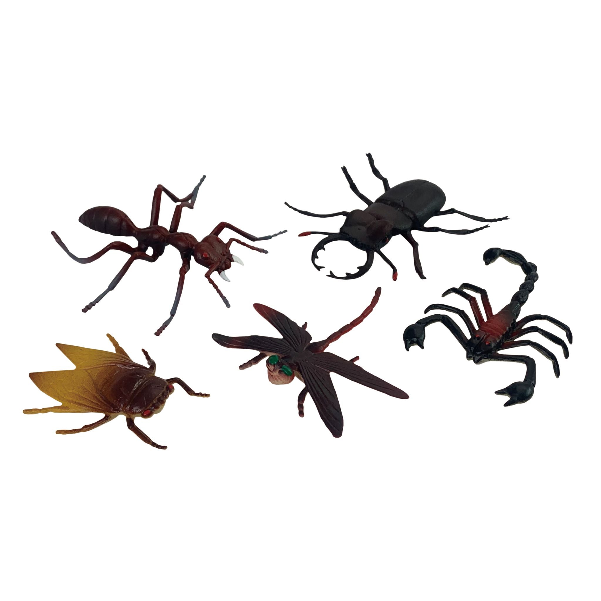 Animal Planet - Insects (5pc Bag)