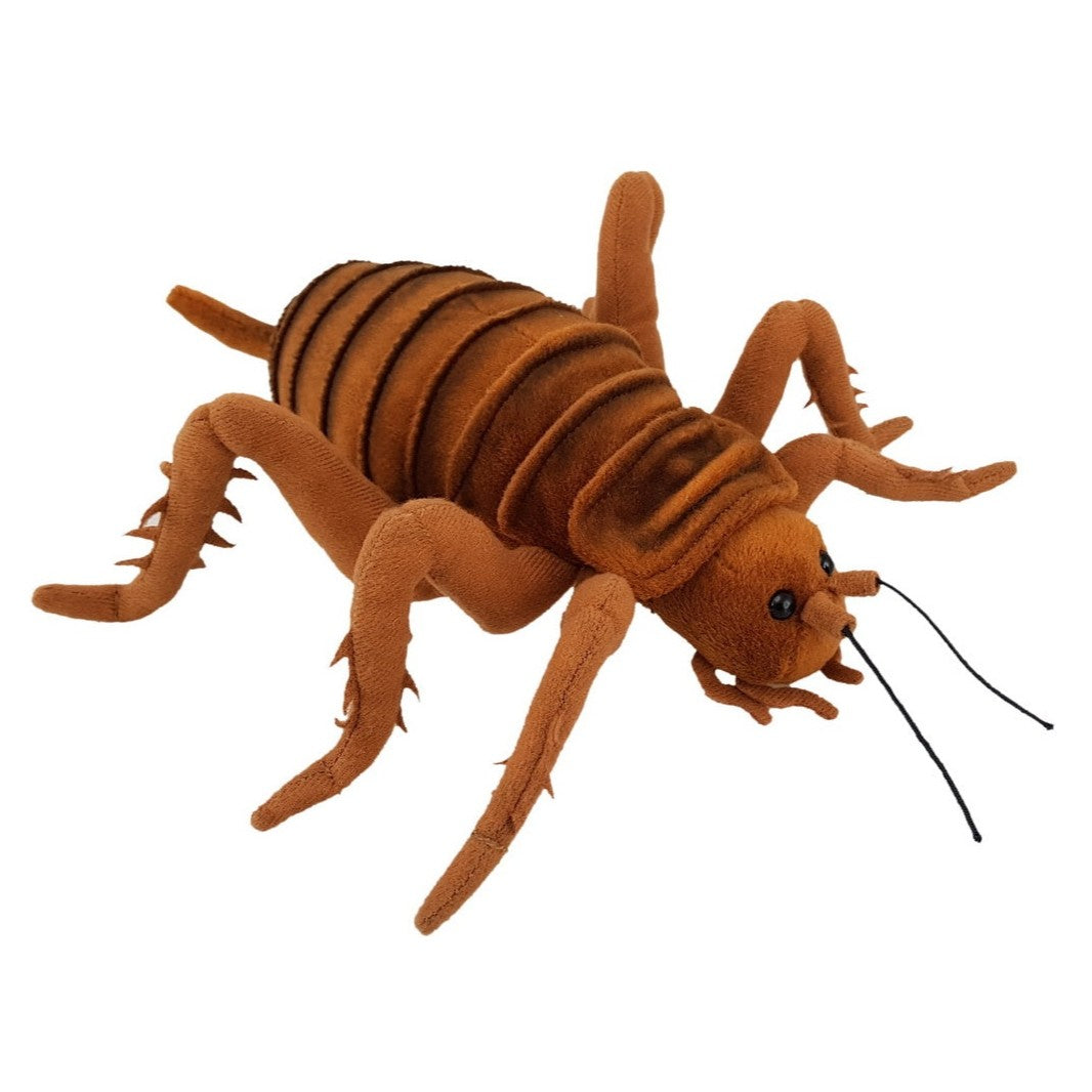 Antics Giant Weta 25cm soft toy.
