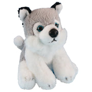 Antics Wildlife Series Mini Husky