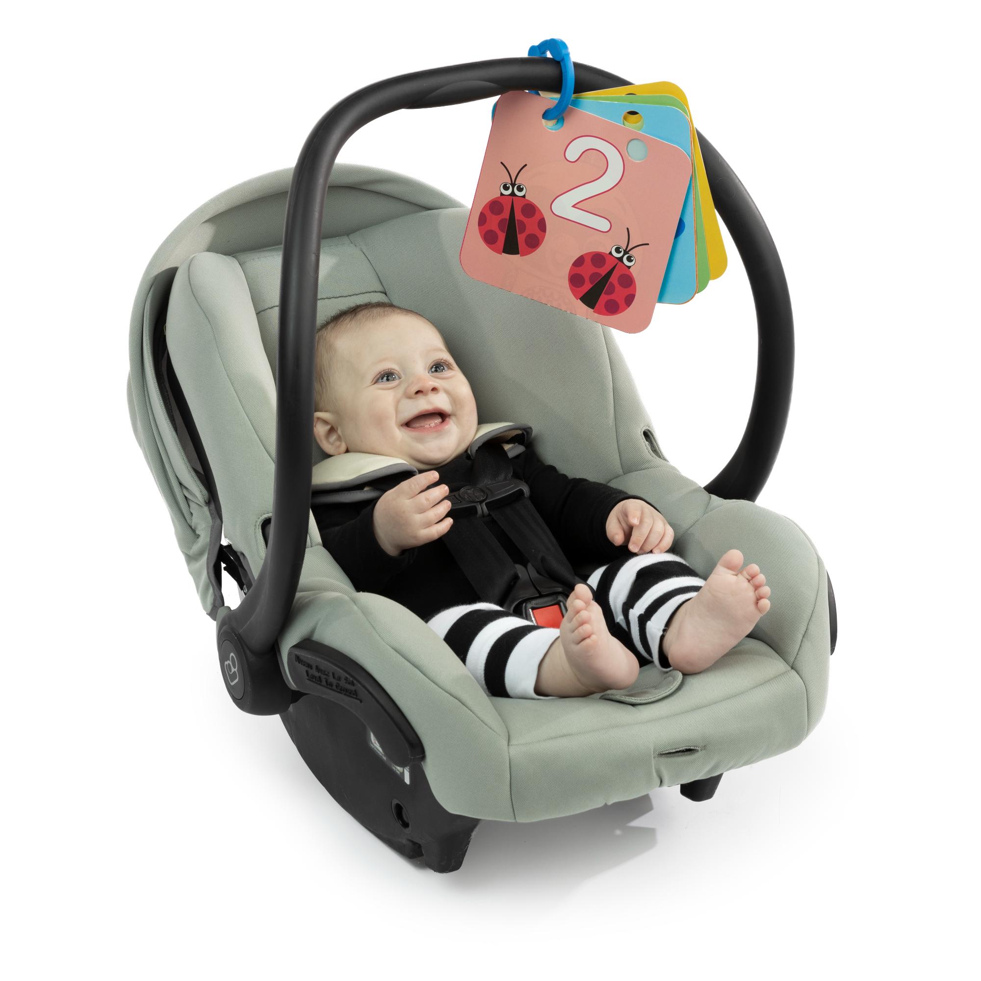 Baby Einstein Disovery Garden Tummy Time Mat & Mirror