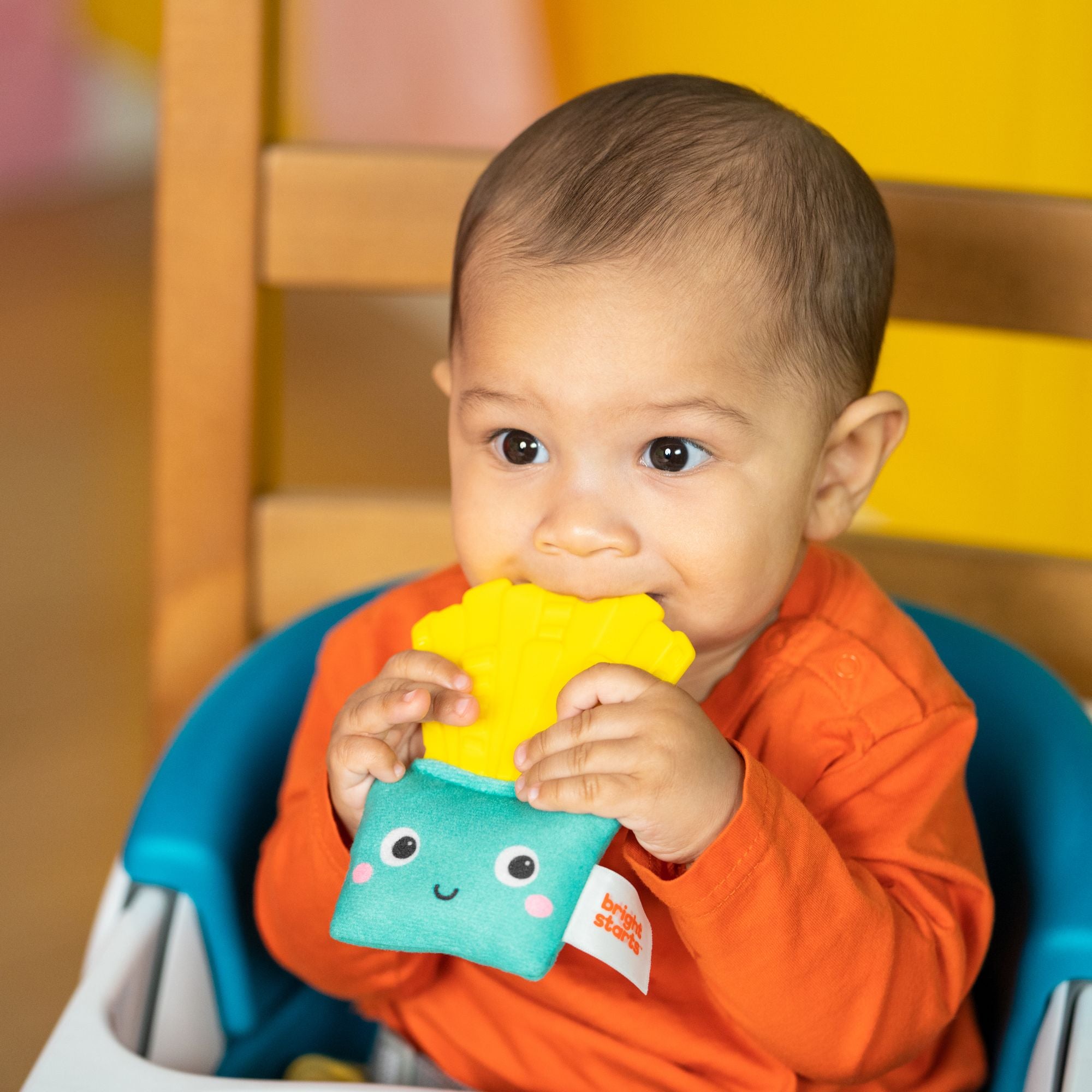 Bright Starts Side Of Smiles Crinkle Teether - Toyworld NZ