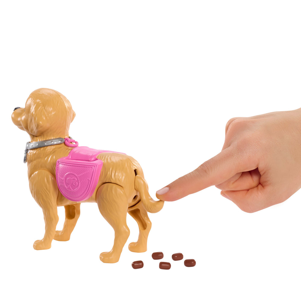 Barbie Family & Friends Walk & Potty - Barbie Malibu with dog that poops.