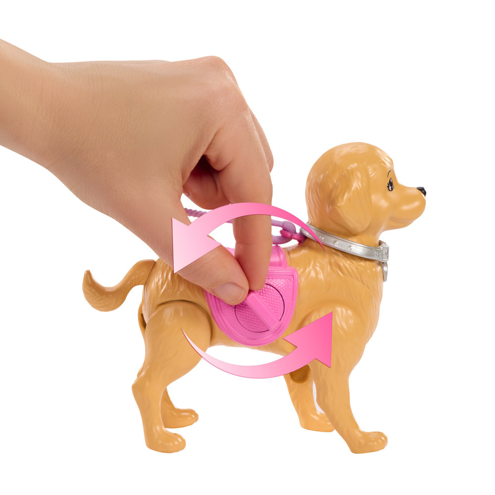 Barbie Family & Friends Walk & Potty - Barbie Malibu with dog that poops.