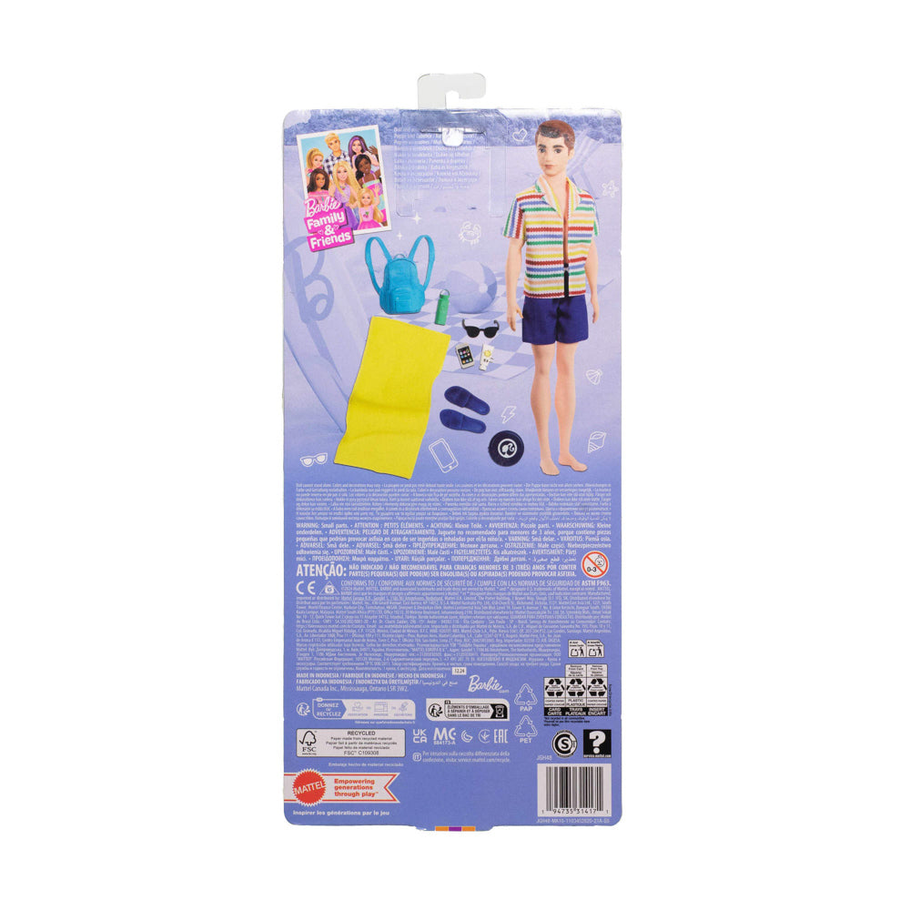 Back packaging of the Barbie Family & Friends - Allan Buddy of Ken doll