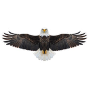 Brookite Bald Eagle Fun Kite