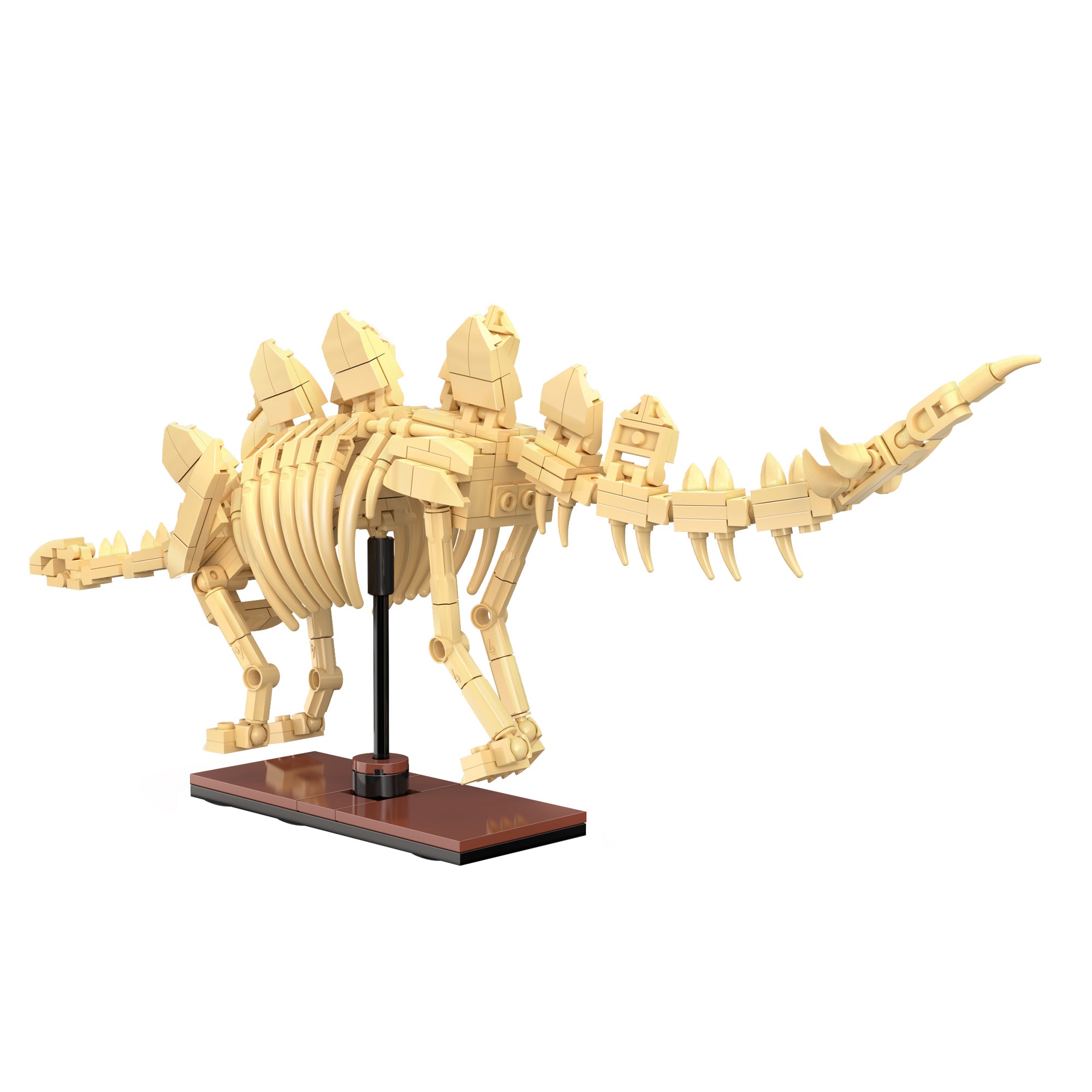 CaDA Dinosaur Fossils - Stegosaurus