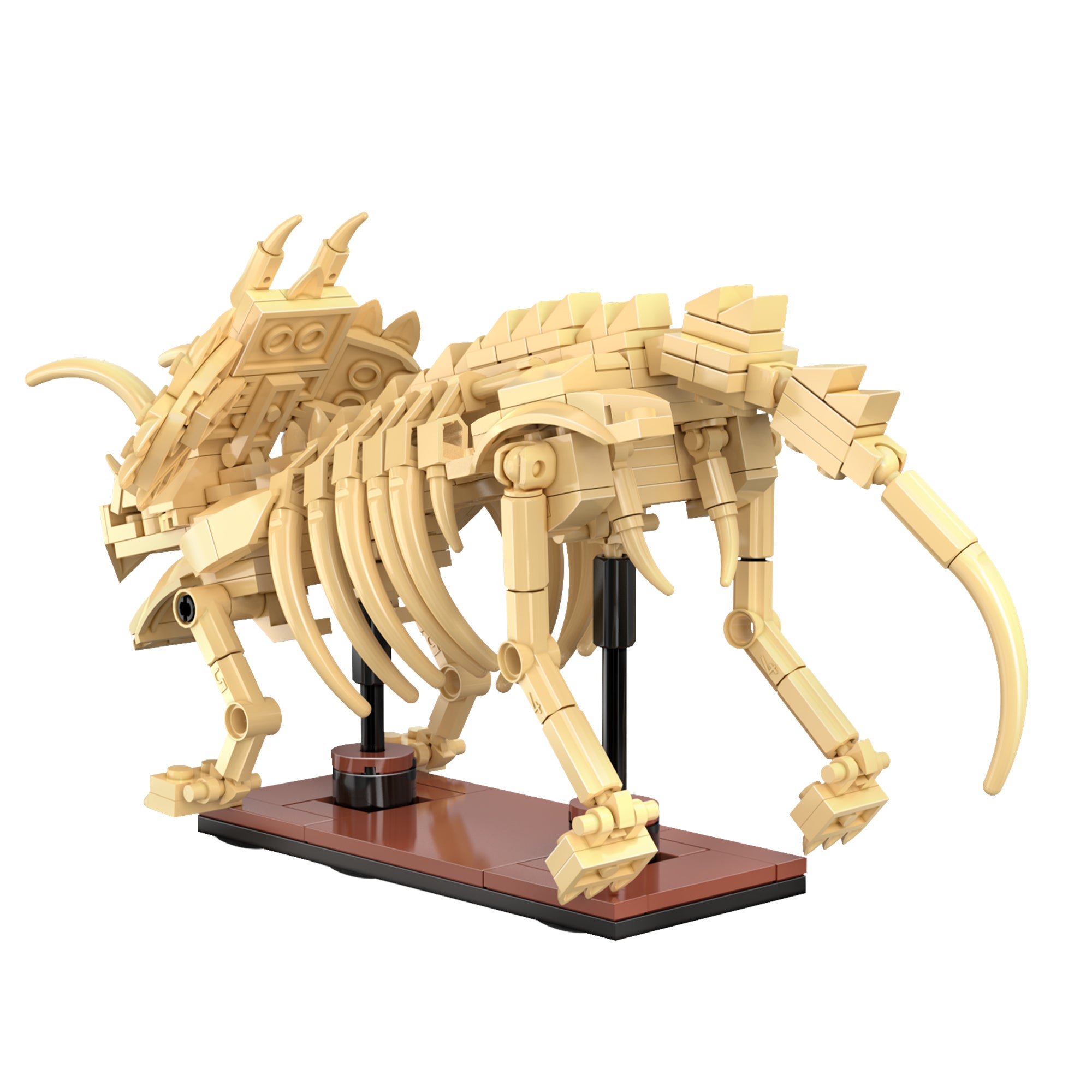 CaDA Dinosaur Fossils - Triceratops