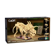 CaDA Dinosaur Fossils - Triceratops