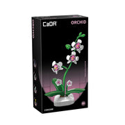 CaDA Flower Bonsai Orchid