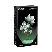 CaDA Flower Bonsai Camelia