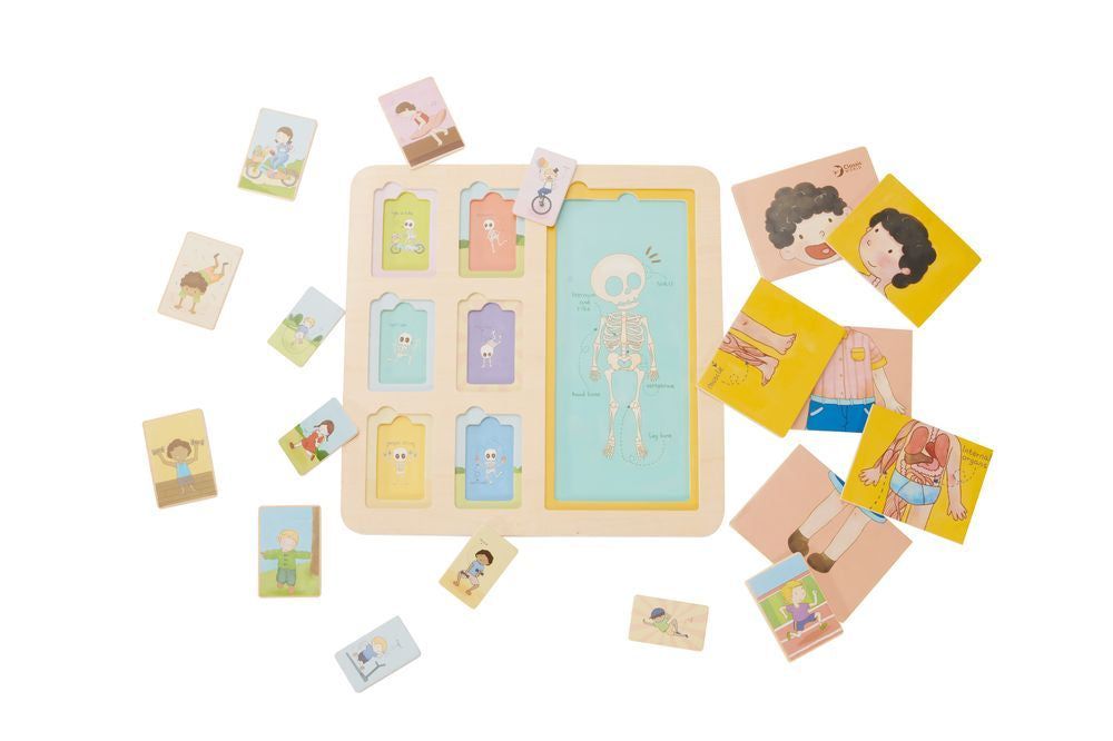 Classic World Body Puzzle