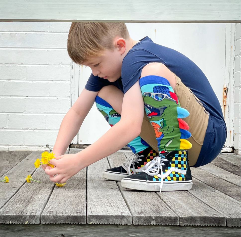 MADMIA Dinosaur Adult Socks