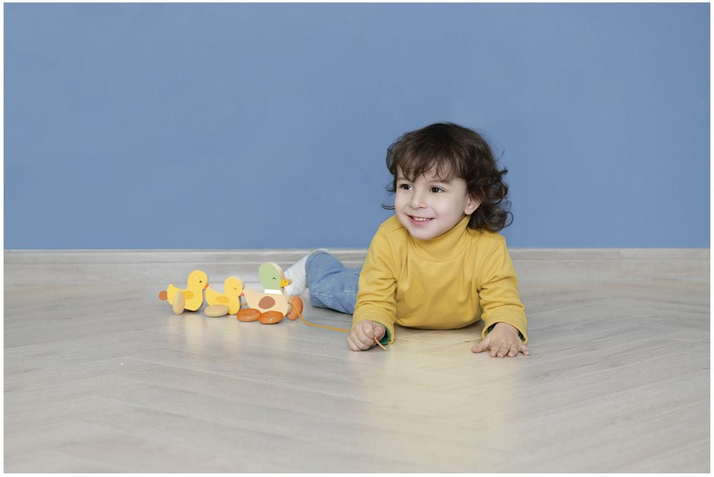 Classic World Pull Paddling Duck